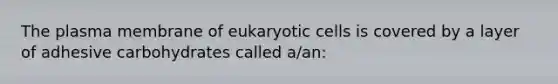 The plasma membrane of eukaryotic cells is covered by a layer of adhesive carbohydrates called a/an: