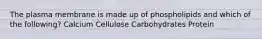 The plasma membrane is made up of phospholipids and which of the following? Calcium Cellulose Carbohydrates Protein