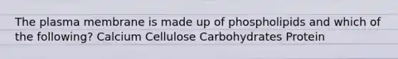 The plasma membrane is made up of phospholipids and which of the following? Calcium Cellulose Carbohydrates Protein