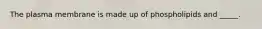 The plasma membrane is made up of phospholipids and _____.