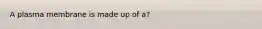 A plasma membrane is made up of a?