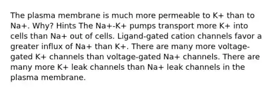 The plasma membrane is much more permeable to K+ than to Na+. Why? Hints The Na+-K+ pumps transport more K+ into cells than Na+ out of cells. Ligand-gated cation channels favor a greater influx of Na+ than K+. There are many more voltage-gated K+ channels than voltage-gated Na+ channels. There are many more K+ leak channels than Na+ leak channels in the plasma membrane.