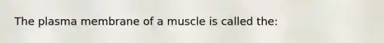 The plasma membrane of a muscle is called the: