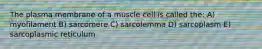 The plasma membrane of a muscle cell is called the: A) myofilament B) sarcomere C) sarcolemma D) sarcoplasm E) sarcoplasmic reticulum