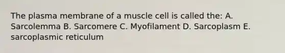 The plasma membrane of a muscle cell is called the: A. Sarcolemma B. Sarcomere C. Myofilament D. Sarcoplasm E. sarcoplasmic reticulum