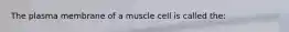 The plasma membrane of a muscle cell is called the: