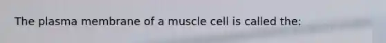 The plasma membrane of a muscle cell is called the: