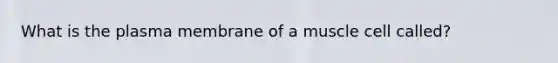 What is the plasma membrane of a muscle cell called?