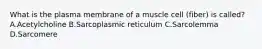 What is the plasma membrane of a muscle cell (fiber) is called? A.Acetylcholine B.Sarcoplasmic reticulum C.Sarcolemma D.Sarcomere