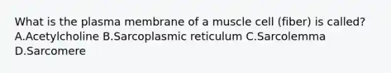 What is the plasma membrane of a muscle cell (fiber) is called? A.Acetylcholine B.Sarcoplasmic reticulum C.Sarcolemma D.Sarcomere