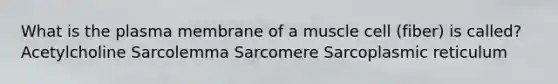 What is the plasma membrane of a muscle cell (fiber) is called? Acetylcholine Sarcolemma Sarcomere Sarcoplasmic reticulum