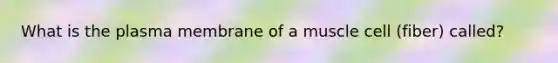 What is the plasma membrane of a muscle cell (fiber) called?