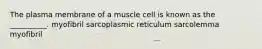 The plasma membrane of a muscle cell is known as the __________. myofibril sarcoplasmic reticulum sarcolemma myofibril