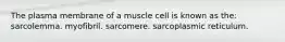 The plasma membrane of a muscle cell is known as the: sarcolemma. myofibril. sarcomere. sarcoplasmic reticulum.