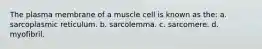 The plasma membrane of a muscle cell is known as the: a. sarcoplasmic reticulum. b. sarcolemma. c. sarcomere. d. myofibril.