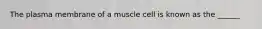 The plasma membrane of a muscle cell is known as the ______