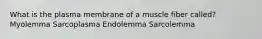 What is the plasma membrane of a muscle fiber called? Myolemma Sarcoplasma Endolemma Sarcolemma