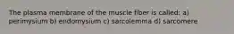 The plasma membrane of the muscle fiber is called: a) perimysium b) endomysium c) sarcolemma d) sarcomere