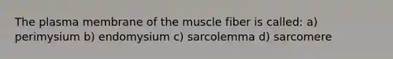 The plasma membrane of the muscle fiber is called: a) perimysium b) endomysium c) sarcolemma d) sarcomere