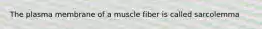 The plasma membrane of a muscle fiber is called sarcolemma