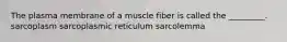 The plasma membrane of a muscle fiber is called the _________. sarcoplasm sarcoplasmic reticulum sarcolemma