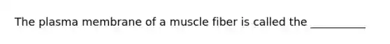 The plasma membrane of a muscle fiber is called the __________