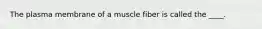 The plasma membrane of a muscle fiber is called the ____.