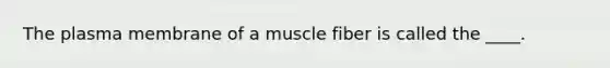 The plasma membrane of a muscle fiber is called the ____.