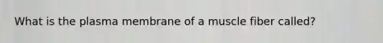 What is the plasma membrane of a muscle fiber called?