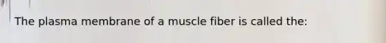 The plasma membrane of a muscle fiber is called the: