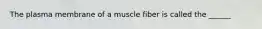 The plasma membrane of a muscle fiber is called the ______