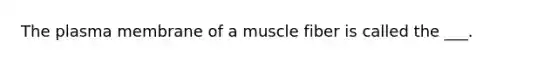 The plasma membrane of a muscle fiber is called the ___.