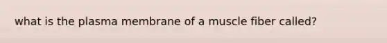 what is the plasma membrane of a muscle fiber called?