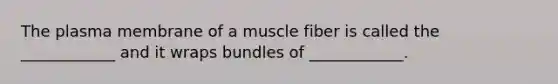 The plasma membrane of a muscle fiber is called the ____________ and it wraps bundles of ____________.