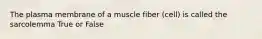 The plasma membrane of a muscle fiber (cell) is called the sarcolemma True or False