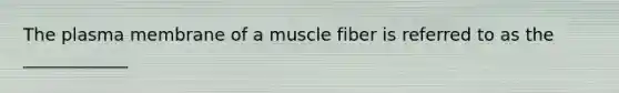 The plasma membrane of a muscle fiber is referred to as the ____________