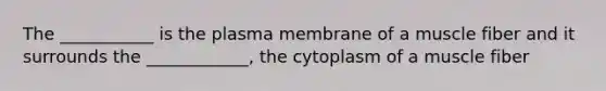 The ___________ is the plasma membrane of a muscle fiber and it surrounds the ____________, the cytoplasm of a muscle fiber