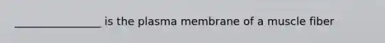 ________________ is the plasma membrane of a muscle fiber