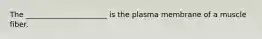 The ______________________ is the plasma membrane of a muscle fiber.