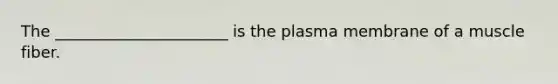 The ______________________ is the plasma membrane of a muscle fiber.