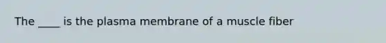 The ____ is the plasma membrane of a muscle fiber