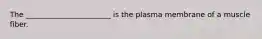 The _______________________ is the plasma membrane of a muscle fiber.