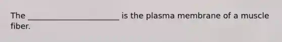 The _______________________ is the plasma membrane of a muscle fiber.