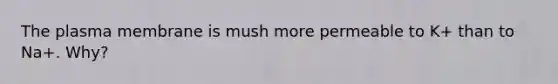 The plasma membrane is mush more permeable to K+ than to Na+. Why?