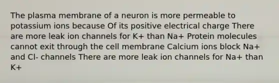 The plasma membrane of a neuron is more permeable to potassium ions because Of its positive electrical charge There are more leak ion channels for K+ than Na+ Protein molecules cannot exit through the cell membrane Calcium ions block Na+ and Cl- channels There are more leak ion channels for Na+ than K+