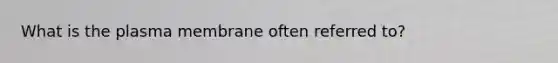 What is the plasma membrane often referred to?
