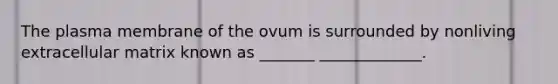 The plasma membrane of the ovum is surrounded by nonliving extracellular matrix known as _______ _____________.