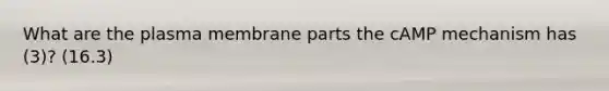 What are the plasma membrane parts the cAMP mechanism has (3)? (16.3)