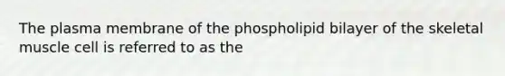 The plasma membrane of the phospholipid bilayer of the skeletal muscle cell is referred to as the