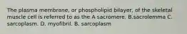 The plasma membrane, or phospholipid bilayer, of the skeletal muscle cell is referred to as the A sacromere. B.sacrolemma C. sarcoplasm. D. myofibril. B. sarcoplasm